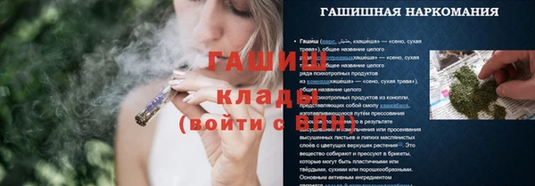 стаф Михайловск