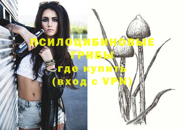 стаф Михайловск