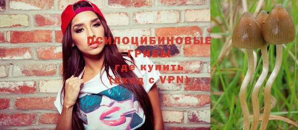 стаф Михайловск